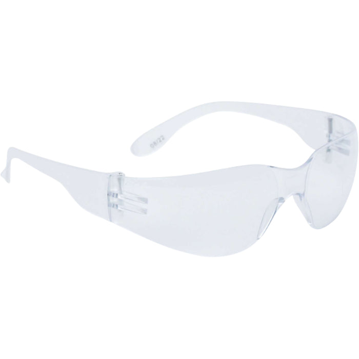 Delta Plus® BRAVA Safety Glasses with Anti-scratch Lens - Clear - WELBRAVAIN