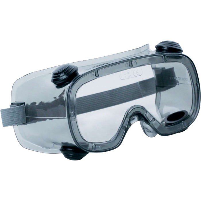 Delta Plus® RUIZ1 Safety Goggles with Indirect Ventilation - Clear - RUIZ1VI